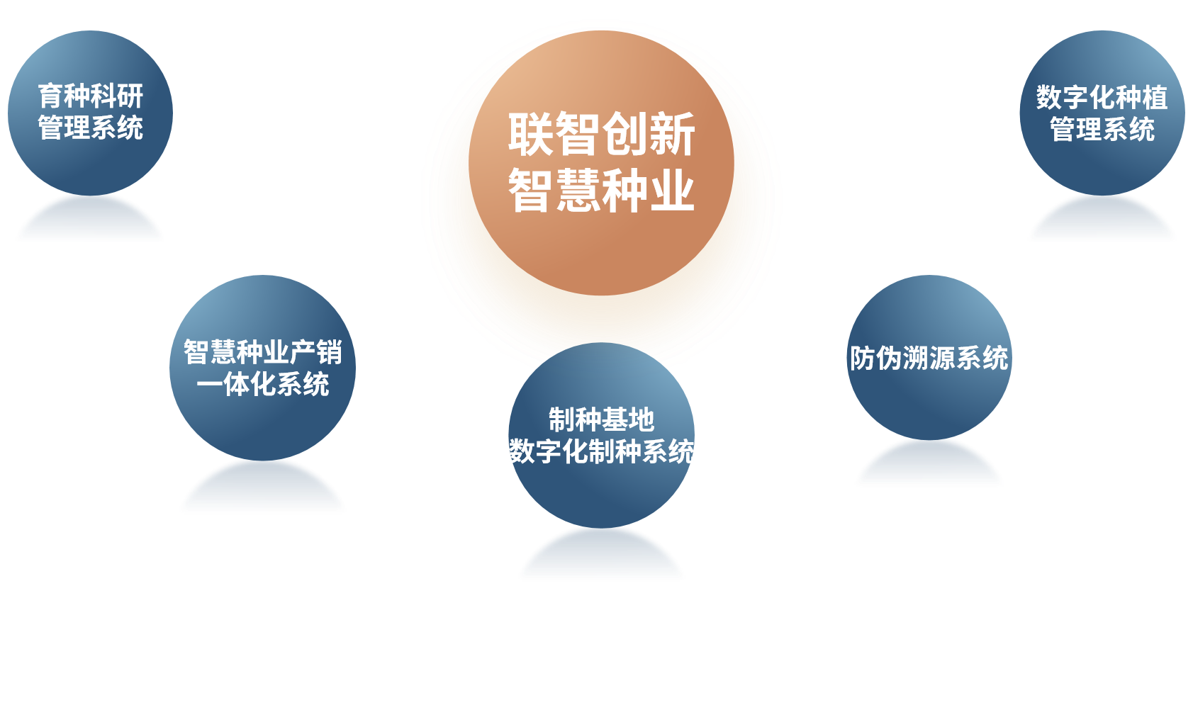 种业进销存